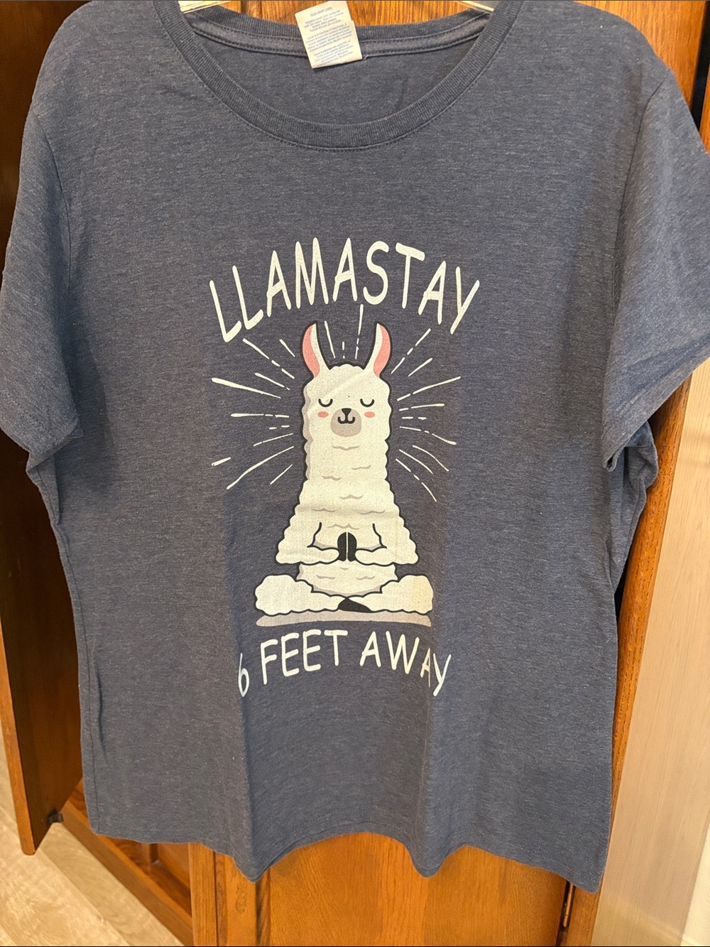 Port and Company Navy 'LLAMASTAY 6 Feet Away' Short Sleeve Tee